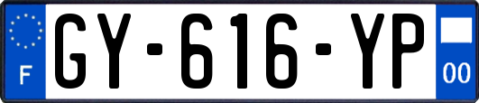 GY-616-YP