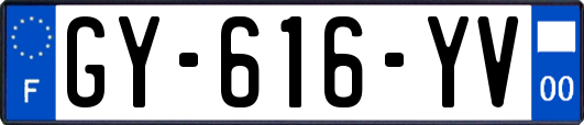 GY-616-YV