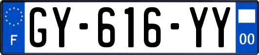 GY-616-YY