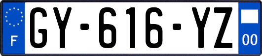 GY-616-YZ