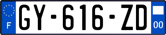 GY-616-ZD