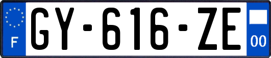 GY-616-ZE