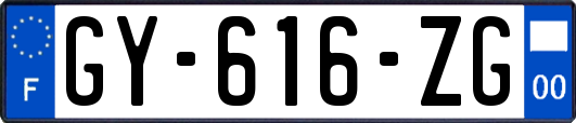 GY-616-ZG