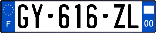 GY-616-ZL