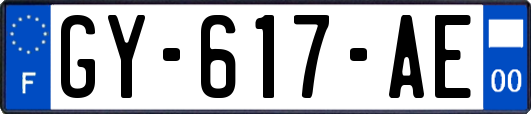 GY-617-AE