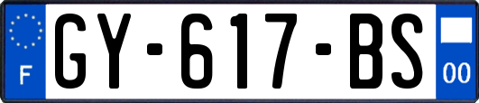 GY-617-BS