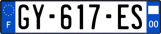 GY-617-ES