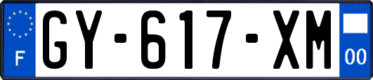 GY-617-XM