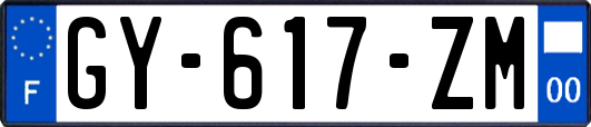 GY-617-ZM