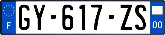 GY-617-ZS