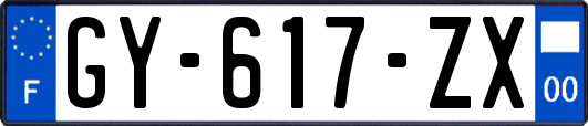 GY-617-ZX