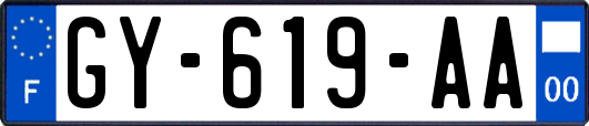 GY-619-AA
