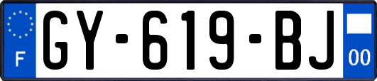 GY-619-BJ
