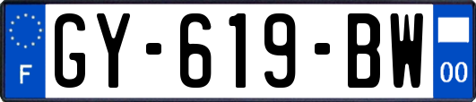 GY-619-BW