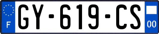 GY-619-CS