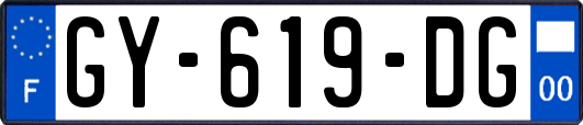 GY-619-DG