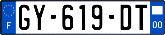 GY-619-DT