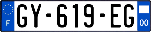 GY-619-EG