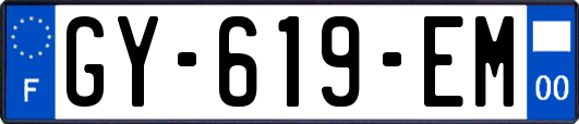 GY-619-EM