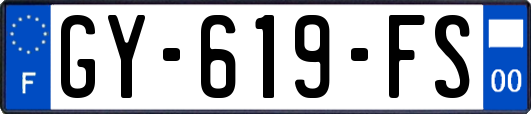 GY-619-FS