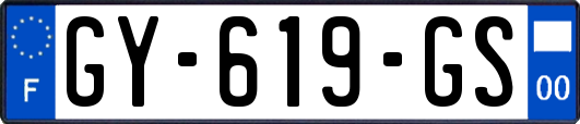 GY-619-GS