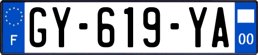 GY-619-YA