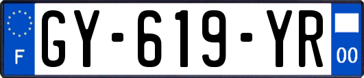 GY-619-YR