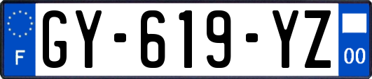 GY-619-YZ