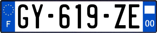 GY-619-ZE