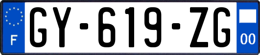 GY-619-ZG