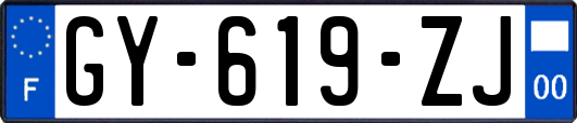 GY-619-ZJ
