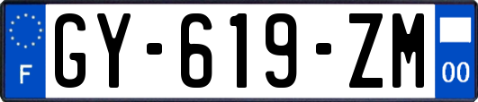 GY-619-ZM