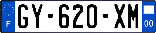 GY-620-XM