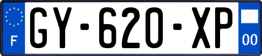 GY-620-XP