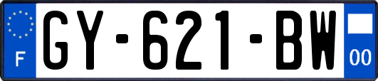 GY-621-BW
