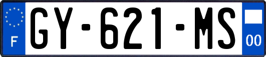 GY-621-MS