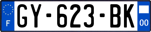 GY-623-BK