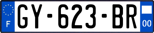 GY-623-BR