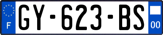 GY-623-BS