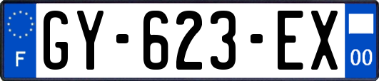 GY-623-EX