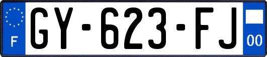 GY-623-FJ