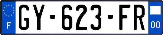 GY-623-FR