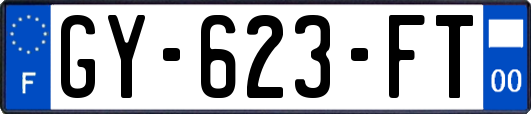 GY-623-FT