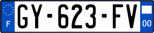 GY-623-FV