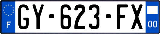 GY-623-FX