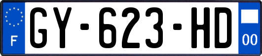 GY-623-HD