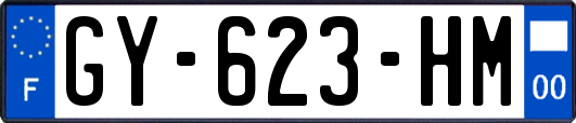 GY-623-HM