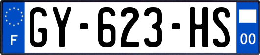 GY-623-HS