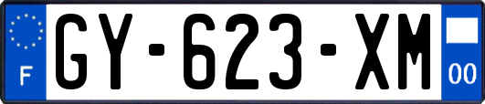 GY-623-XM