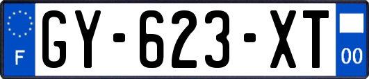 GY-623-XT